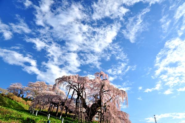 風景写真