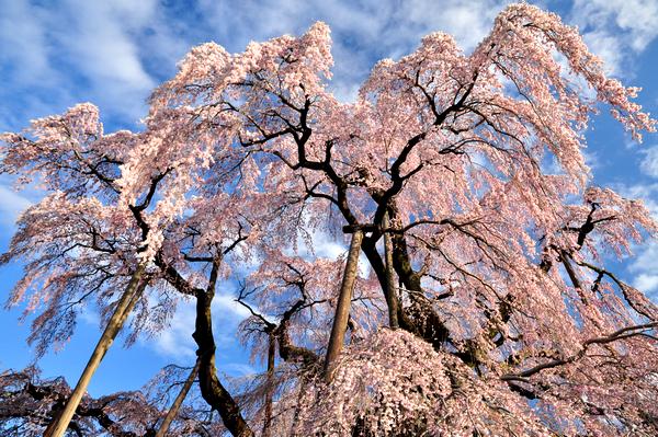 風景写真