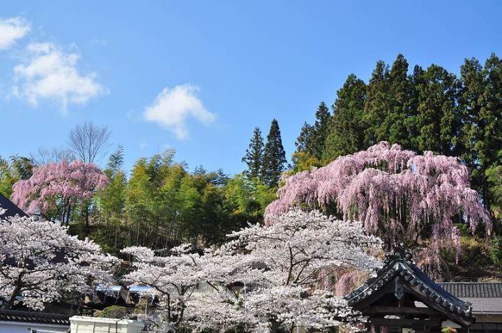 風景写真